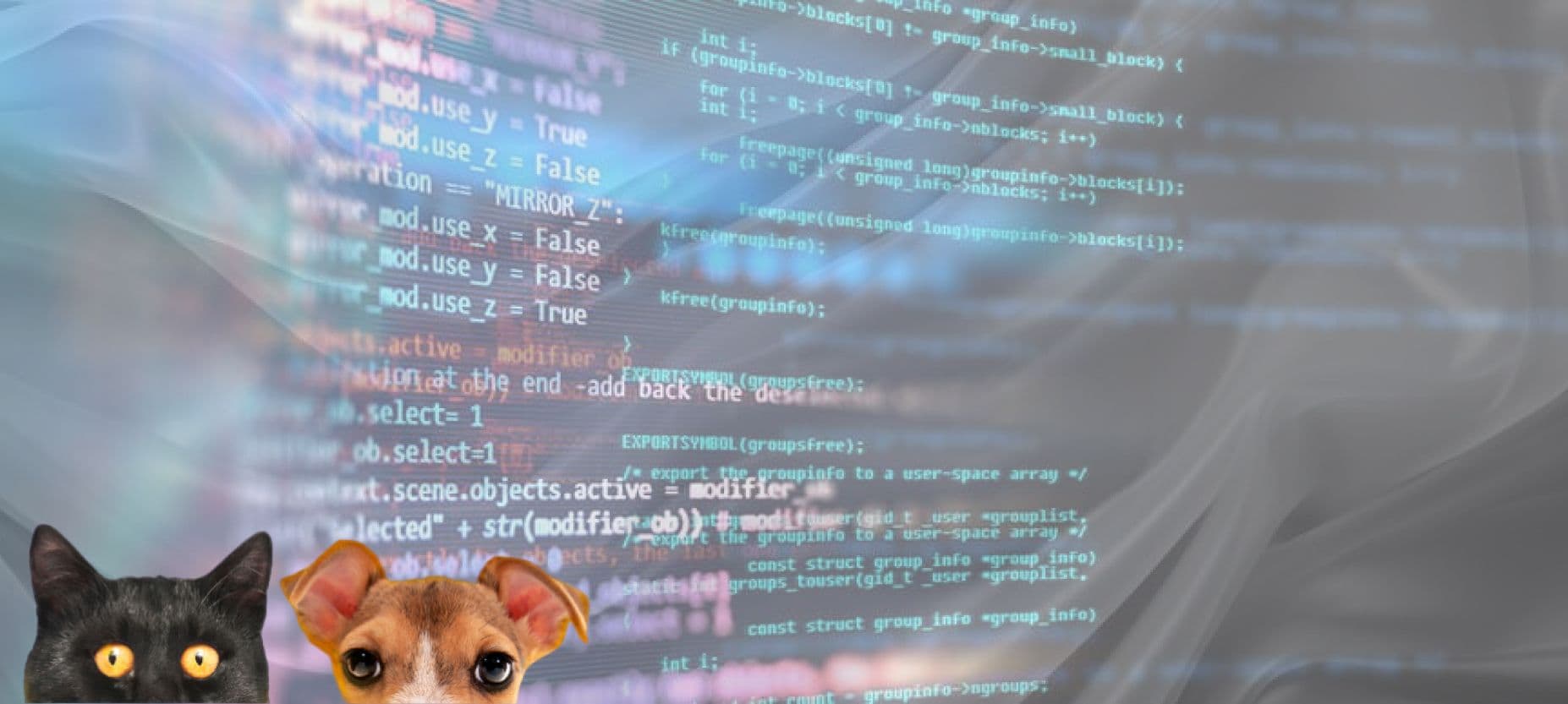 Українські IT-експерти допомагають перетворити ваш Pet Project на бізнес